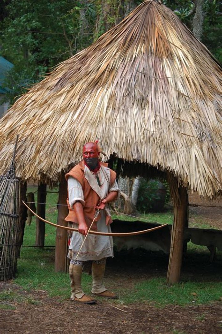 What did the Timucua look like?