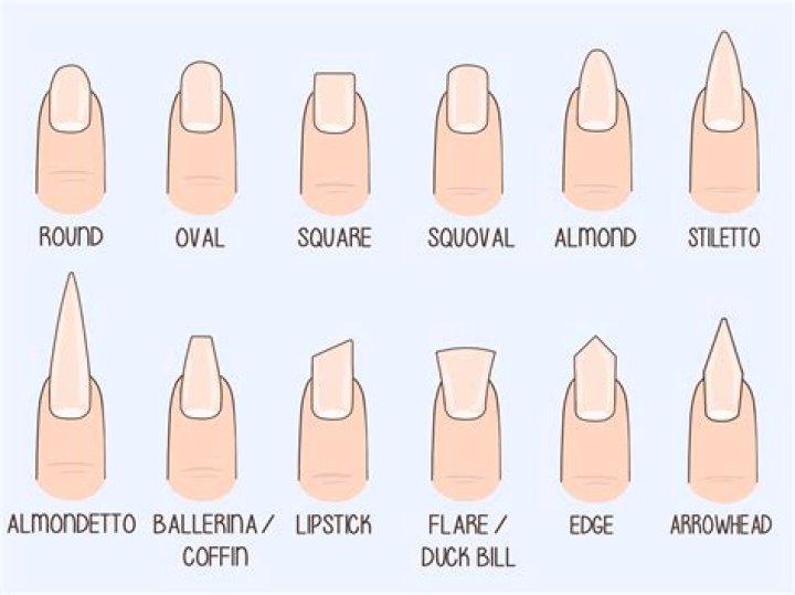 What different types of nails are there?