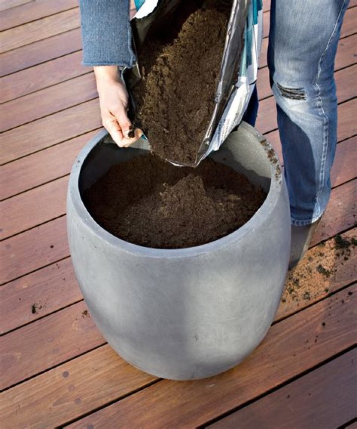 What do you fill the bottom of a planter with?