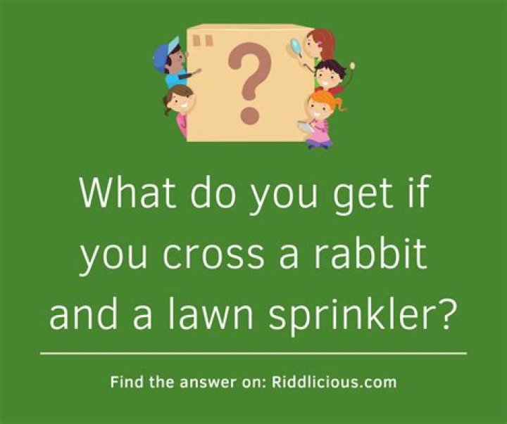 What do you get when you cross a frog and a bunny?