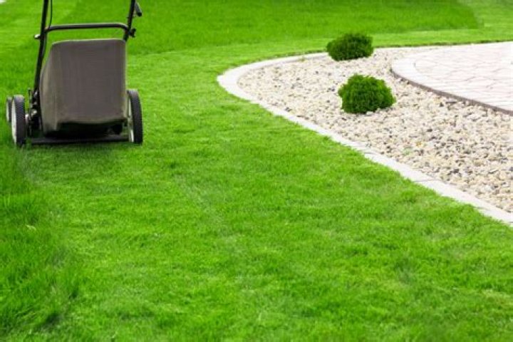 What do you need to know about lawn care?
