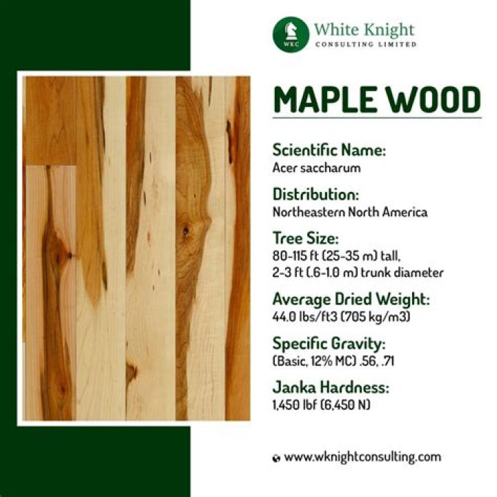 What do you need to know about red maple wood?