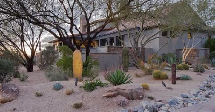 What do you need to know about xeriscaping?
