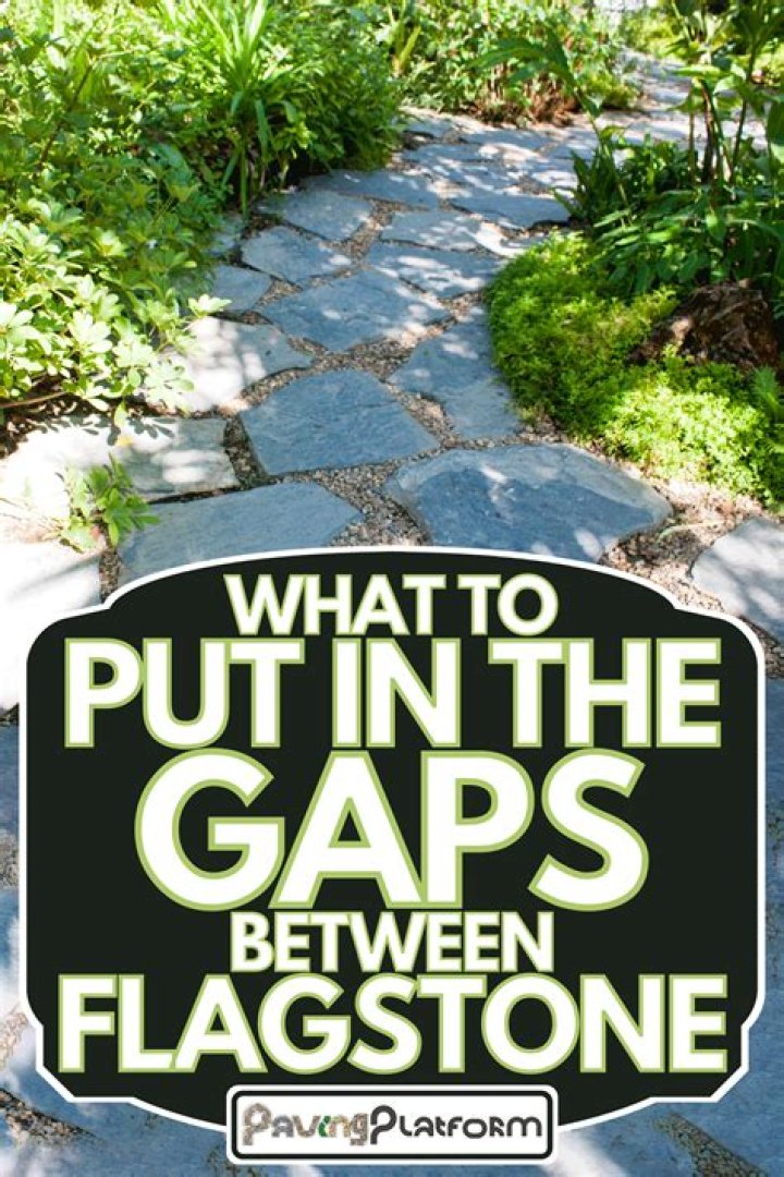 What do you put between flagstone rocks?