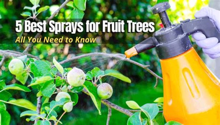 What do you spray on apple and pear trees?