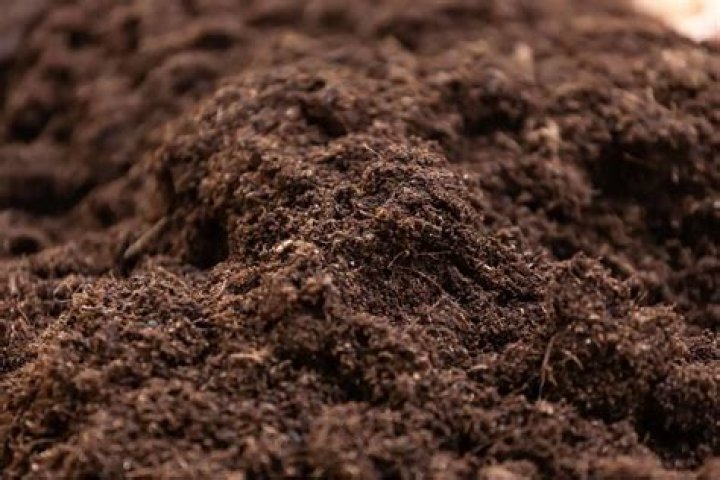 What does 1/2 yard of topsoil weigh?