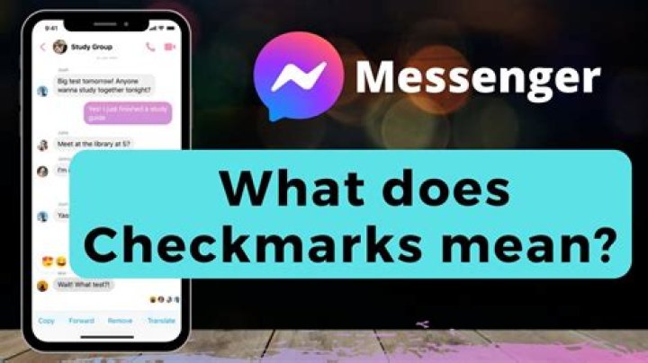 What does a check mean on a text message?