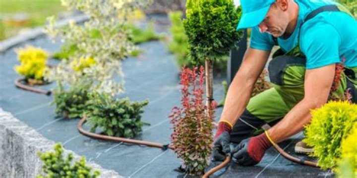 What does a landscaper assistant do?