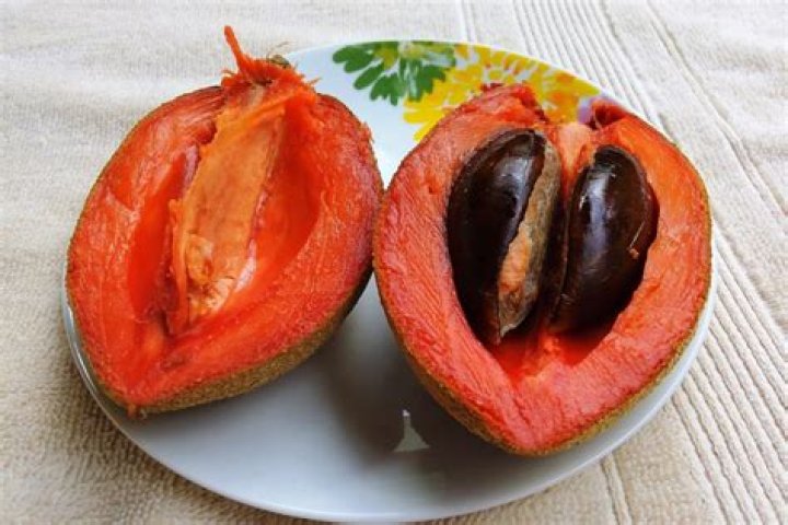 What does a sapote fruit taste like?