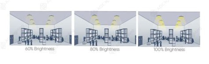 What does dim light mean?