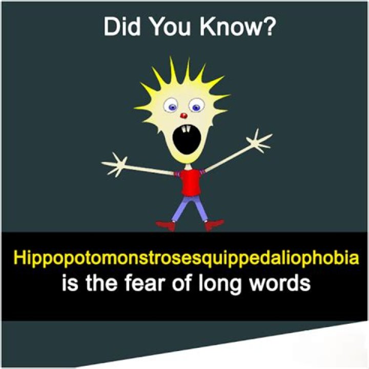 What does Hippopotomonstrosesquippedaliophobia mean?