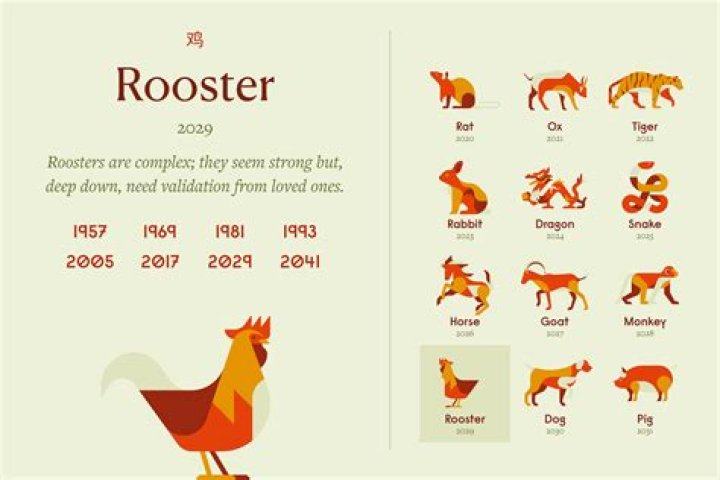 What does it mean when a rooster shows up at your home?