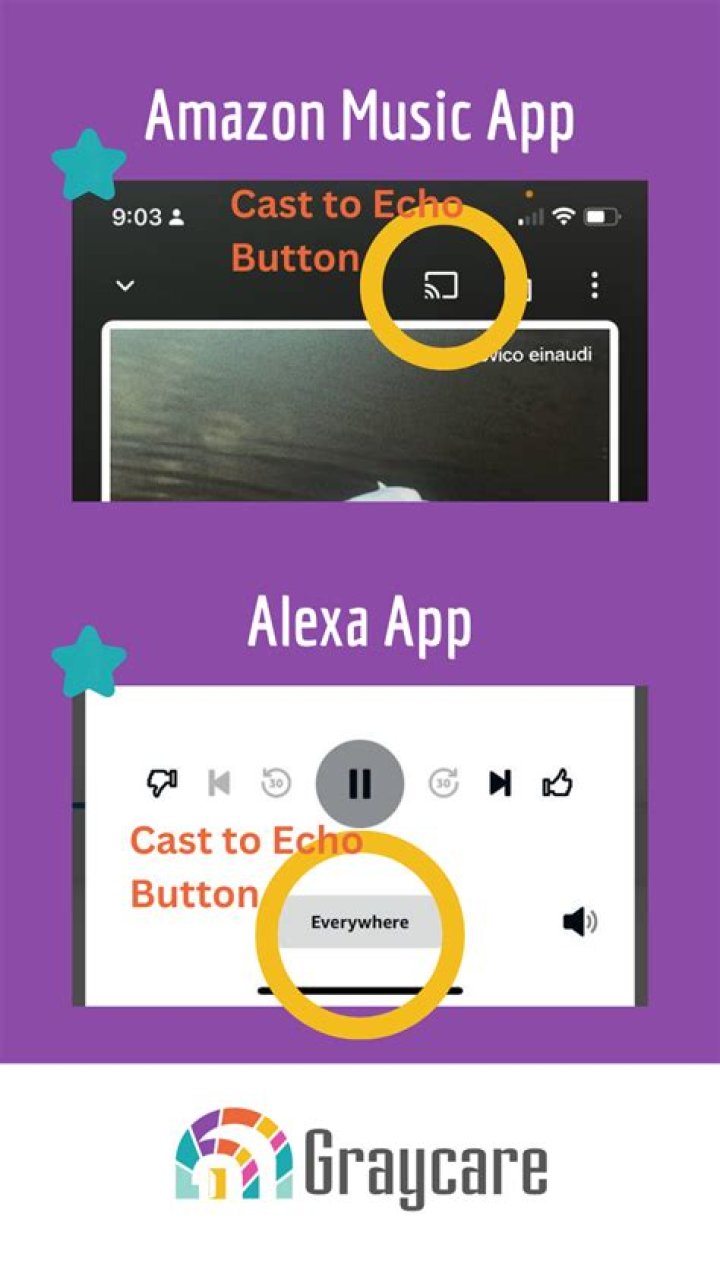 What does it mean when you say Alexa on your Echo Dot?