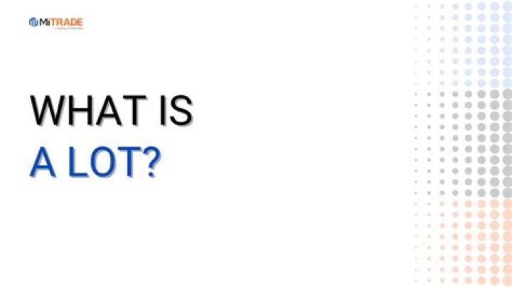 What does lot mean in house?