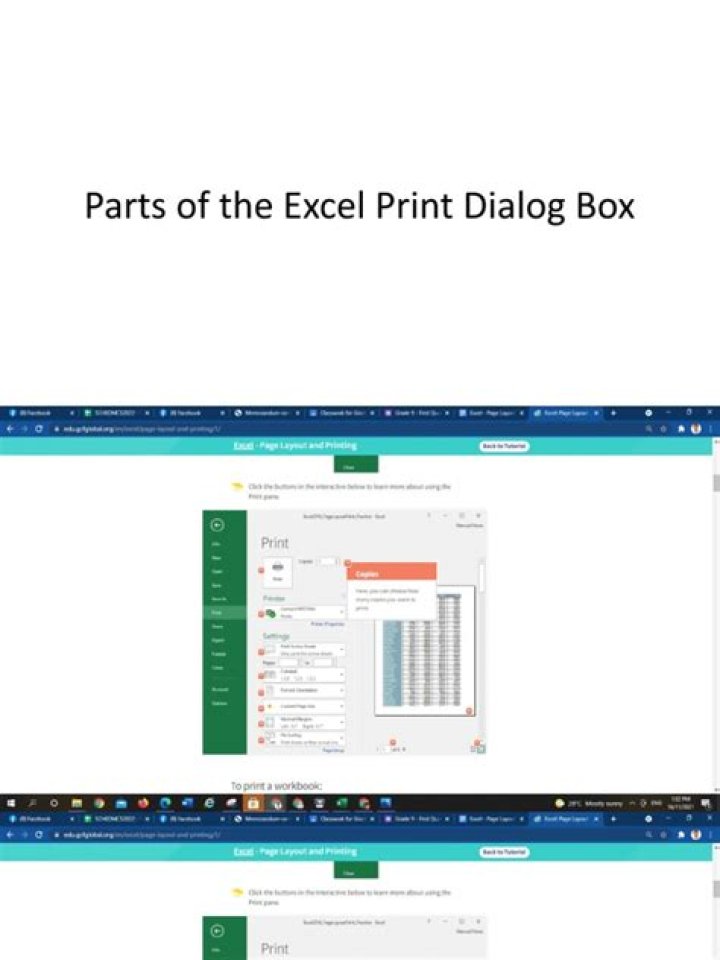 What does ncopies mean in the print dialog box?