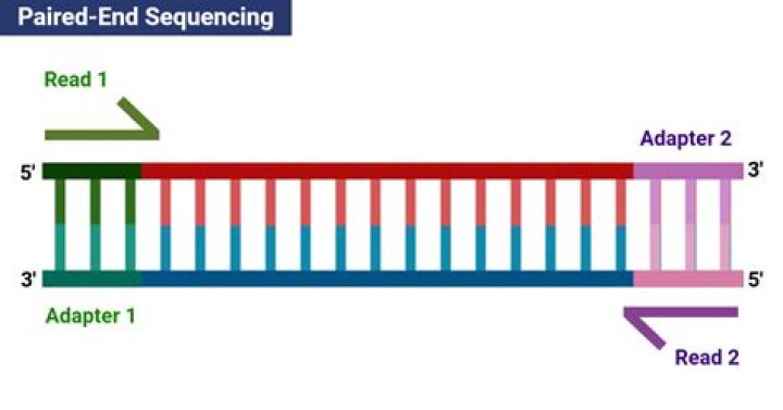 What does Paired new device mean?