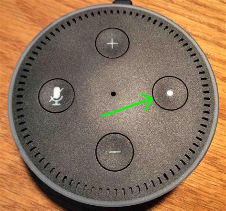 What does the circle button on Alexa mean?