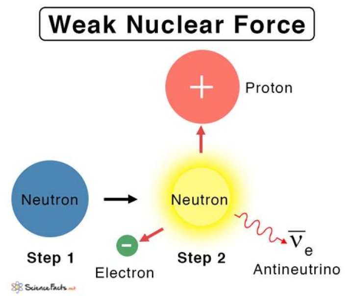 What does the weak force do?