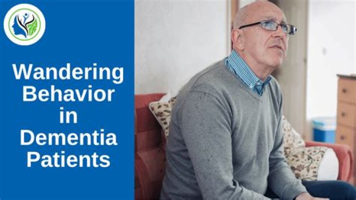 What does wandering behavior mean?