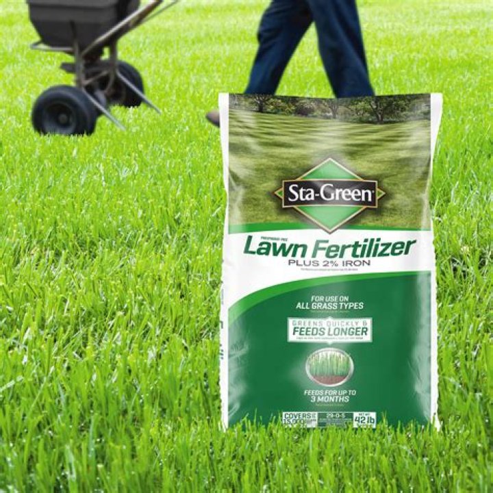 What fertilizer is best for Green Giant arborvitae?
