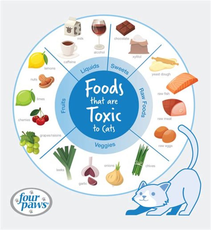 What foods can damage your voice?