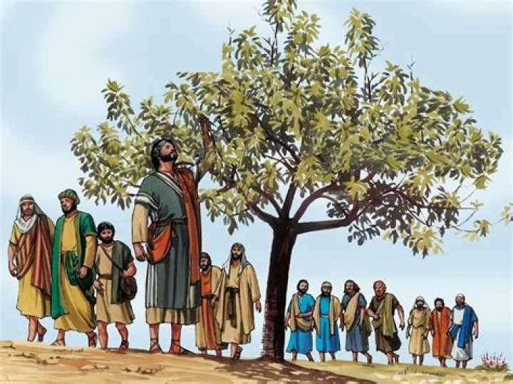 What happened to the fig tree in the Bible?