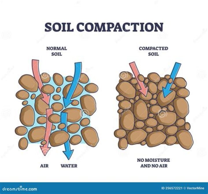 What happens if soil is too compact?