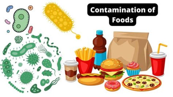 What happens if you eat contaminated ice?