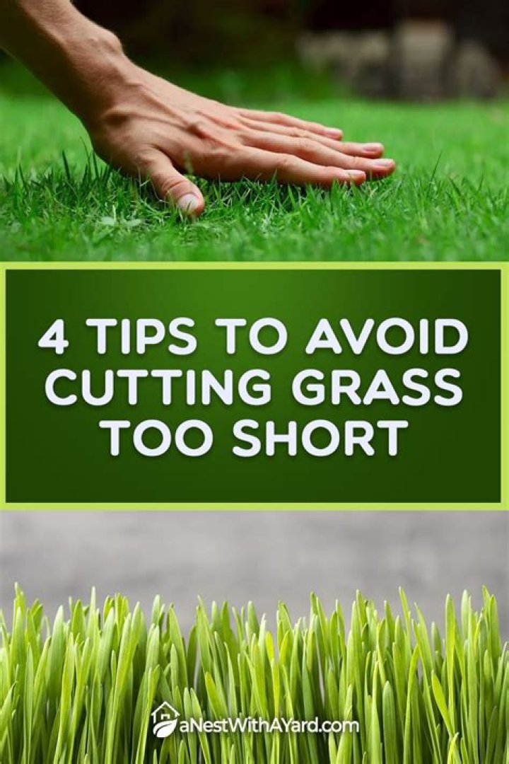 What happens if you leave grass too long?