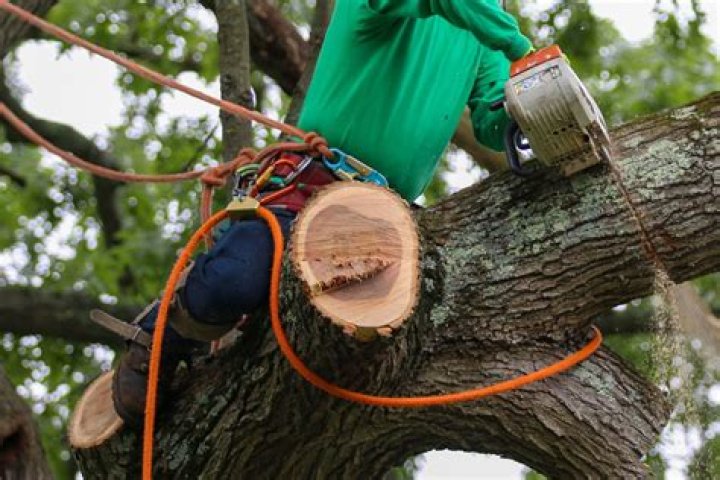 What happens when Edge is removed from a tree?
