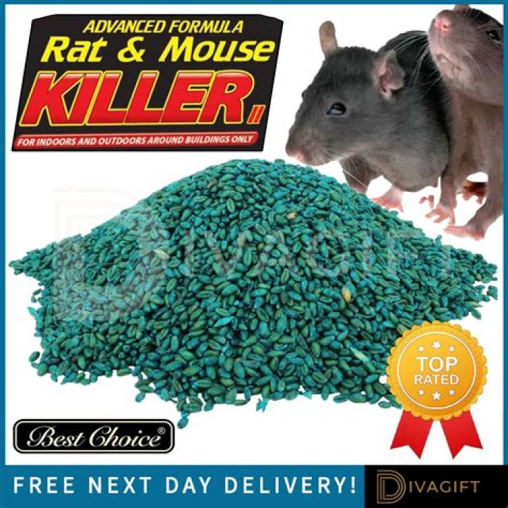 What happens when mouse poison gets wet?