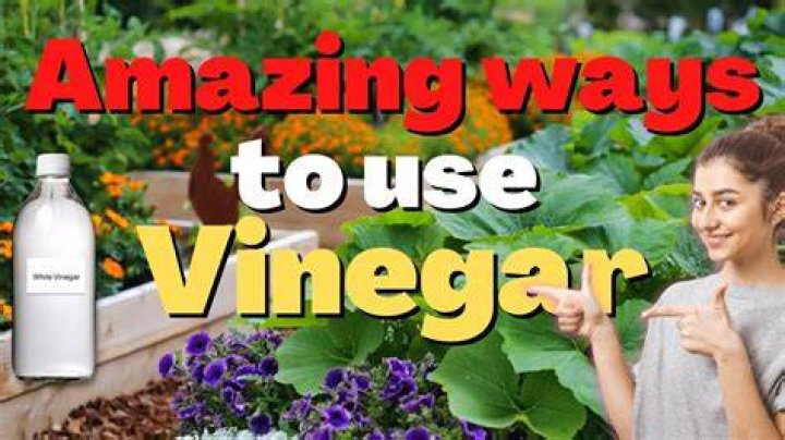 What happens when you add vinegar to glue?