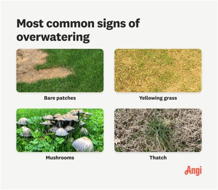 What happens when you over water your lawn?