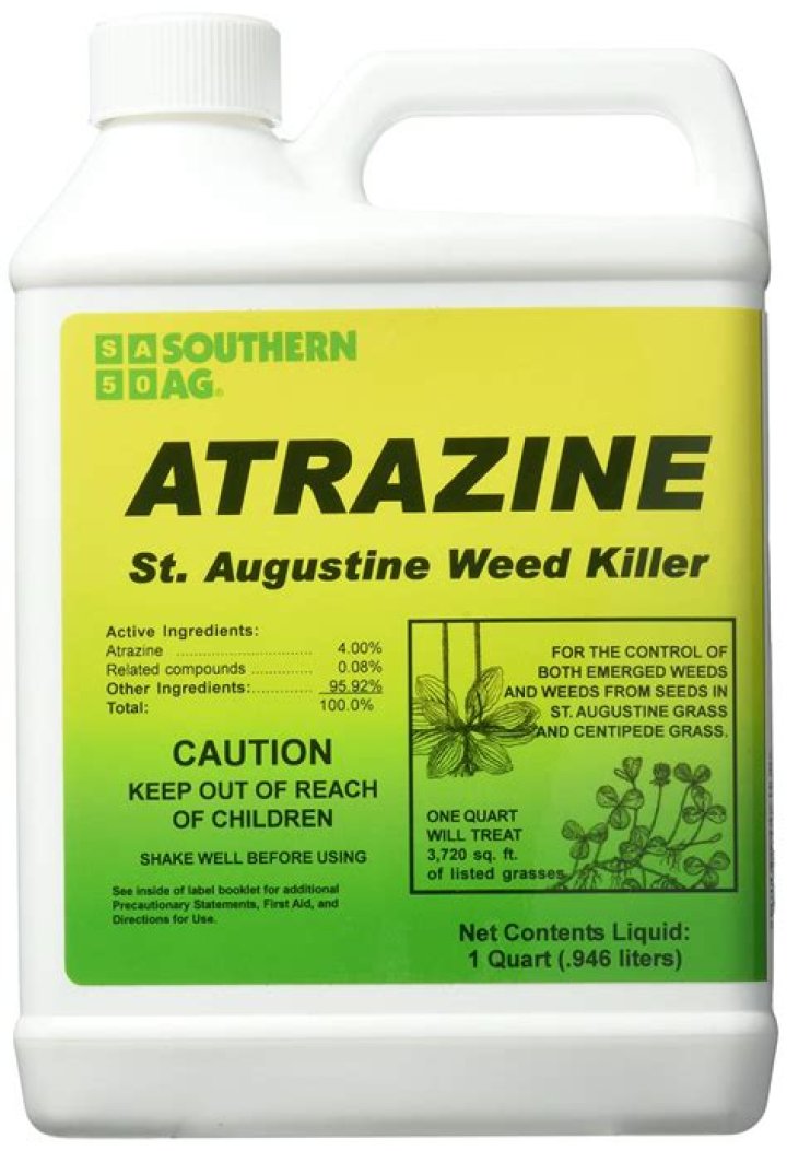 What herbicide kills St Augustine grass?