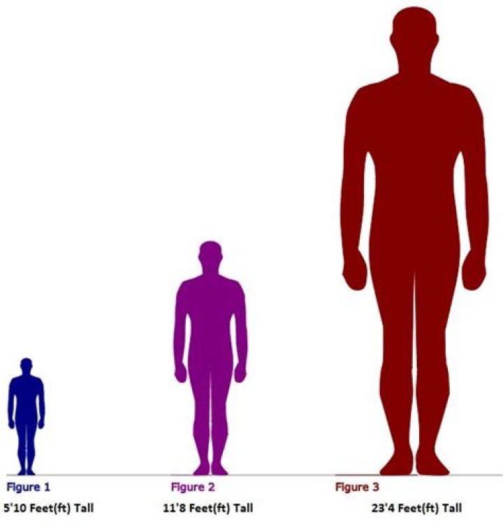 What is 12 feet by 8 feet in meters?