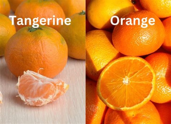 What is a cross between a grapefruit and orange and a tangerine?
