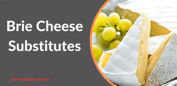 What is a good substitute for brie cheese?