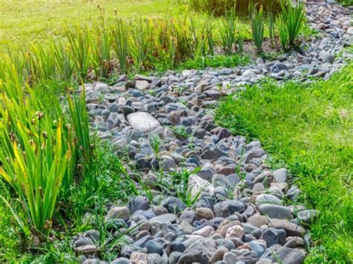 What is a grassed swale?