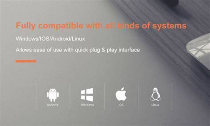 What is a plug in switch?