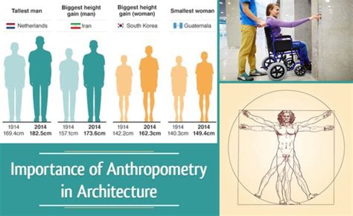 What is Anthropometrics and ergonomics in architecture?