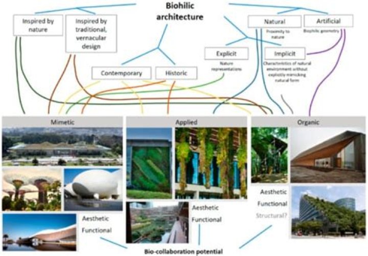 What is architecture and its importance?