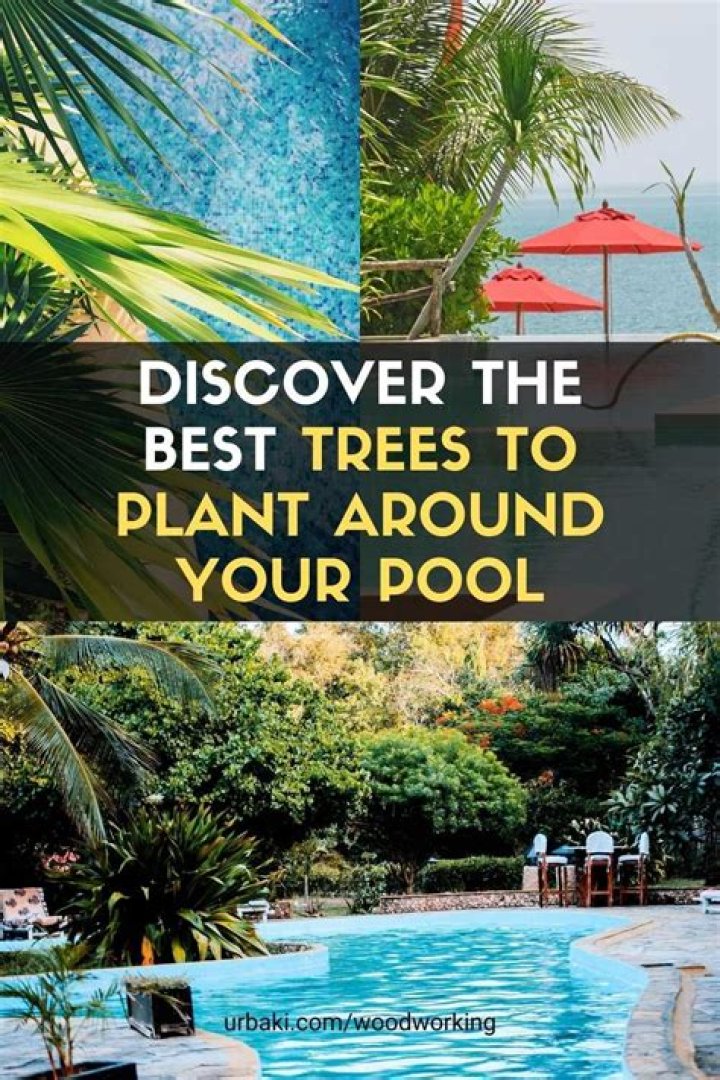 What is best to plant around a pool?