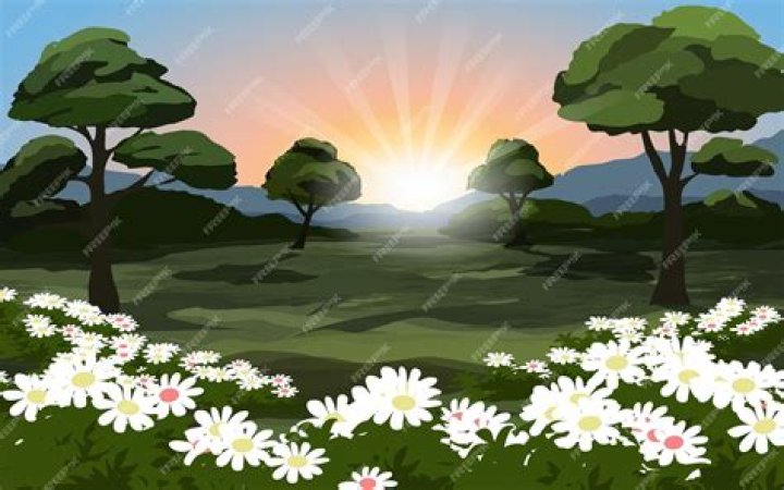 What is found on grass and flowers early in the morning?