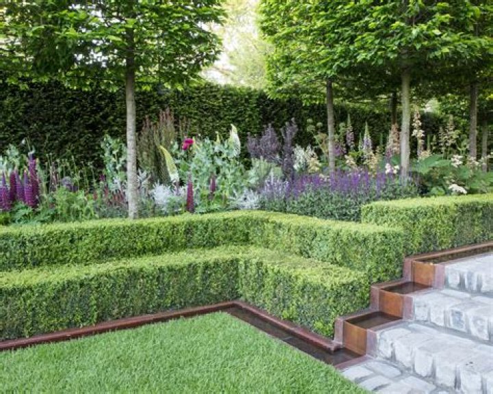 What is hedge in landscape?