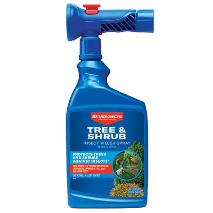 What is in Bayer tree and Shrub?