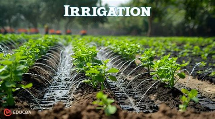 What is irrigation Question Answer?