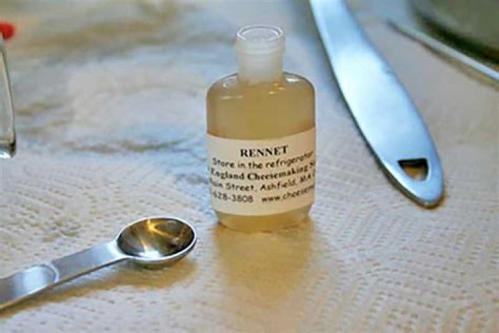 What is natural rennet?