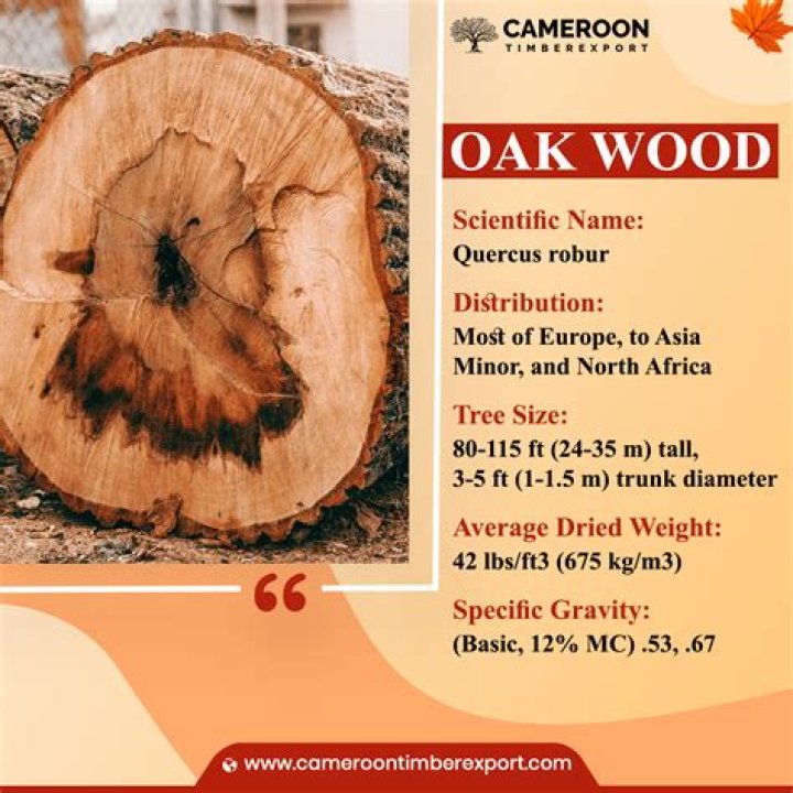 What is oak wood density?
