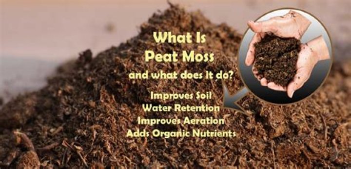 What is peat moss best used for?