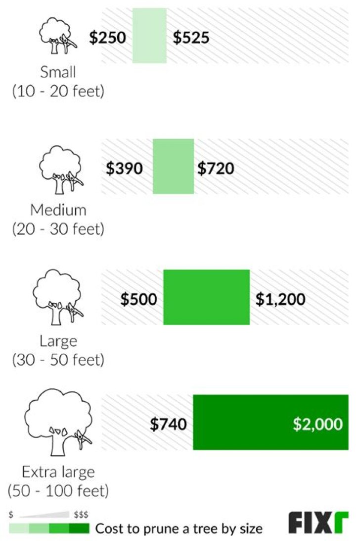 What is the average cost to take down a large tree?
